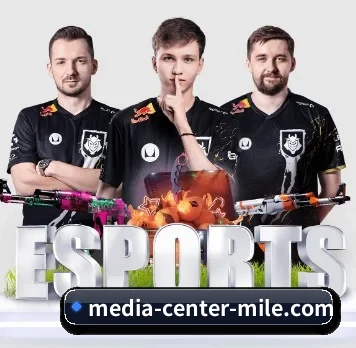 media-center-mile.com APP 界面